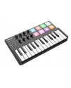 WORLDE PANDA MINI controller midi25